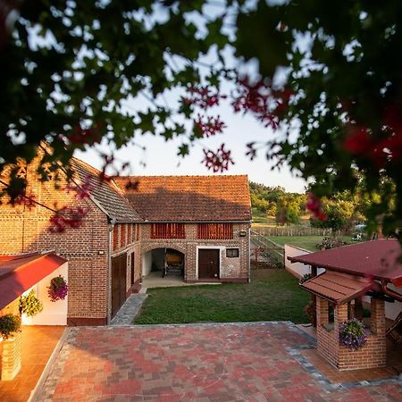Salas 318 - B&B Farm Experience Brodski Drenovac Ngoại thất bức ảnh