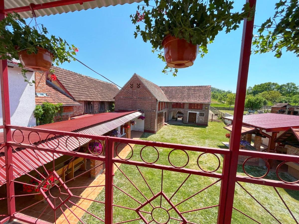 Salas 318 - B&B Farm Experience Brodski Drenovac Ngoại thất bức ảnh
