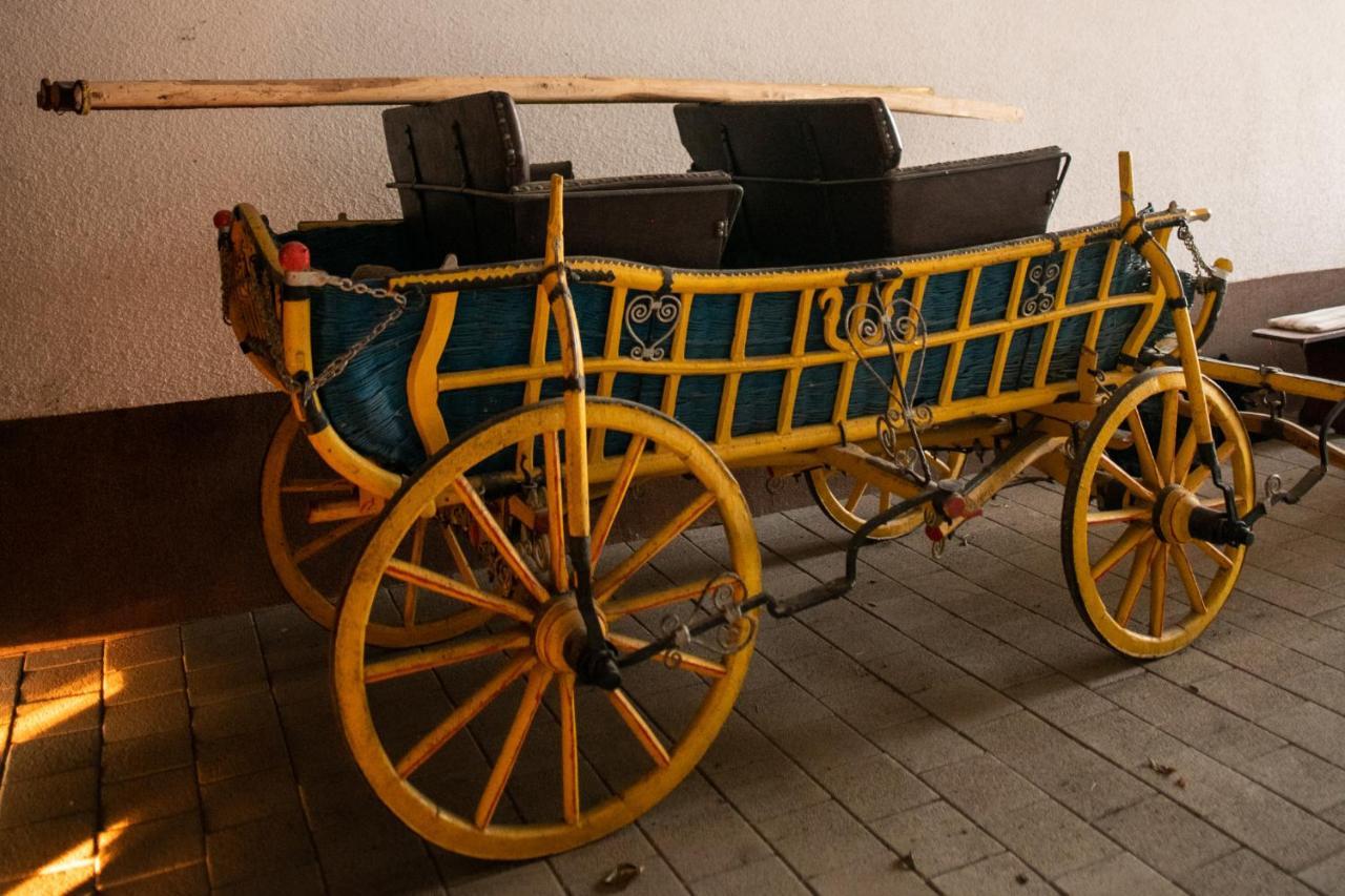 Salas 318 - B&B Farm Experience Brodski Drenovac Ngoại thất bức ảnh