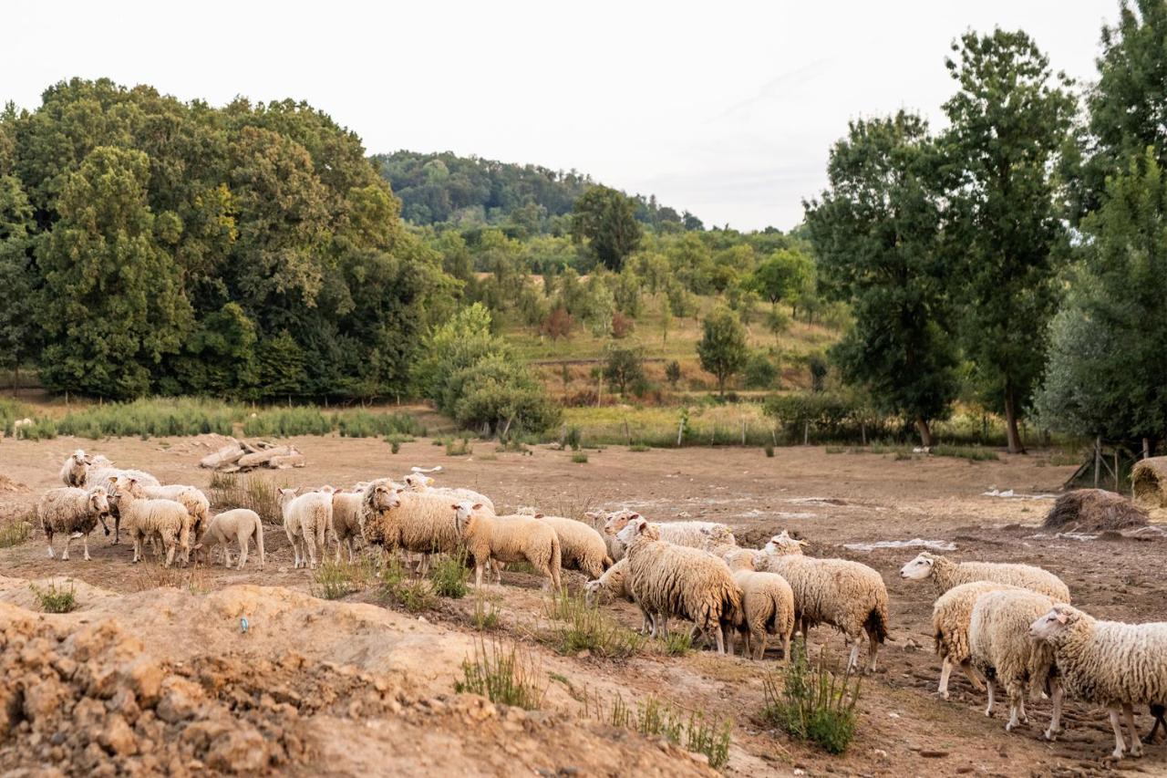Salas 318 - B&B Farm Experience Brodski Drenovac Ngoại thất bức ảnh