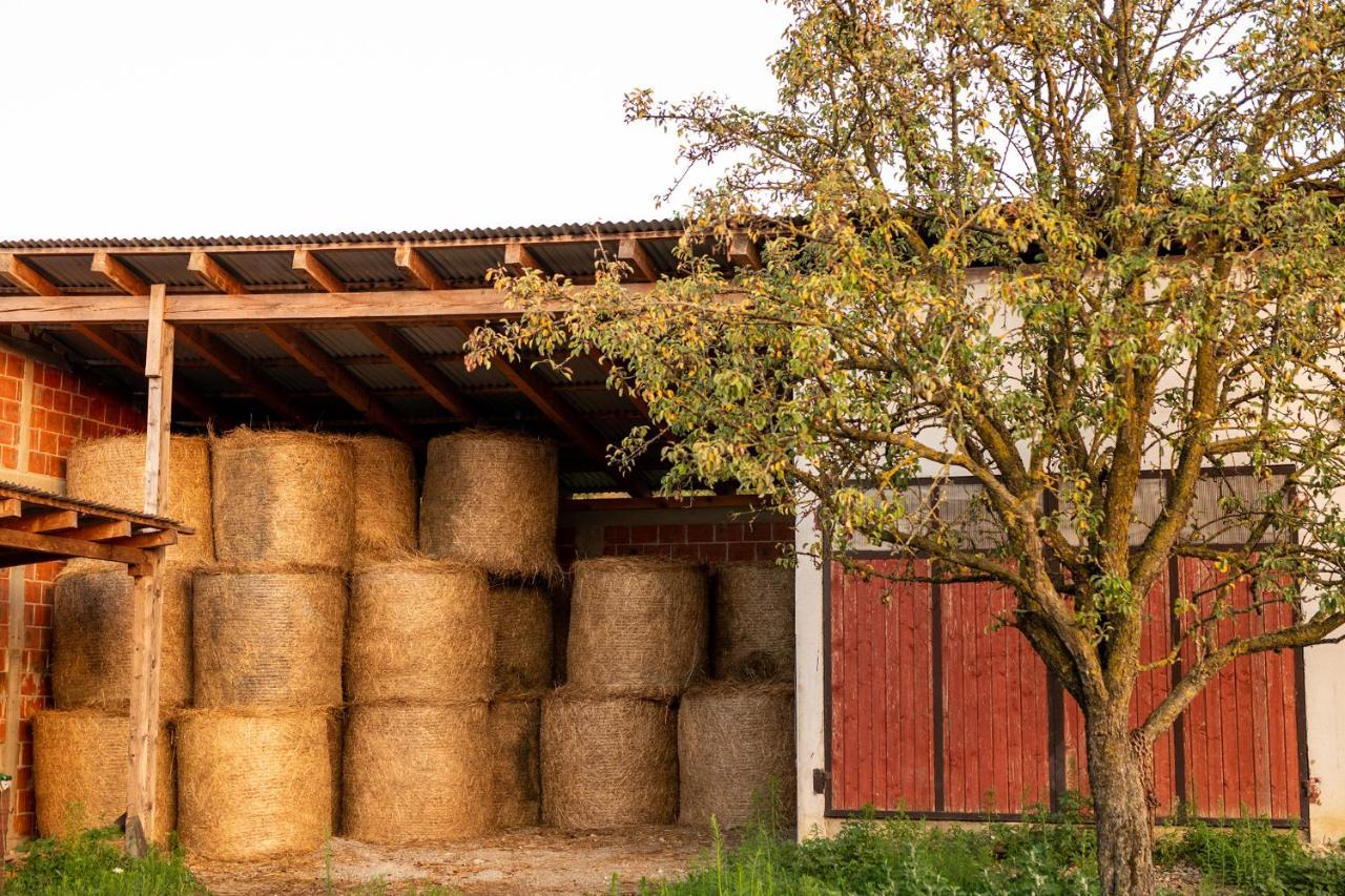 Salas 318 - B&B Farm Experience Brodski Drenovac Ngoại thất bức ảnh